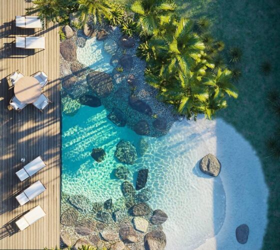 PISCINA-NATURAL-BIOLOGICA